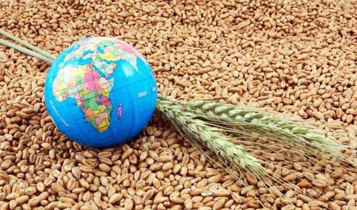2018年营养获取指数全球食品饮料巨头健康产品不足13